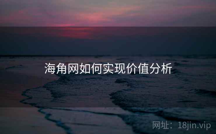 海角网如何实现价值分析