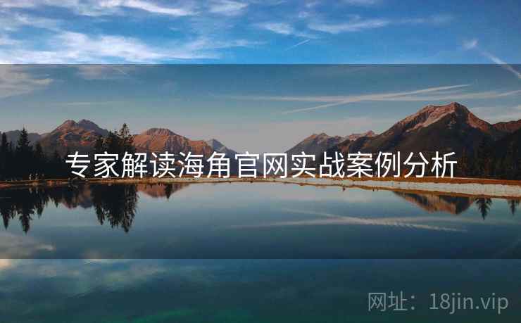专家解读海角官网实战案例分析