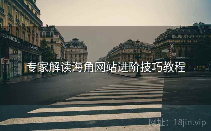 专家解读海角网站进阶技巧教程