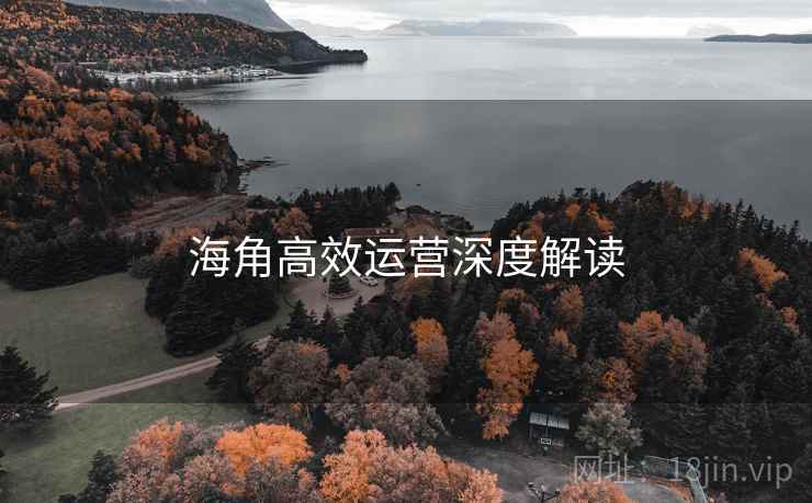海角高效运营深度解读